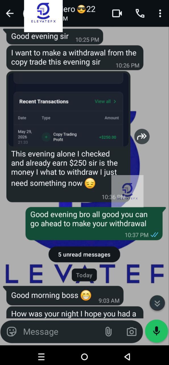 WhatsApp chat with Community Member — +$250 withdrawal
